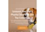 find winning shopify dropshipping products with profit analysis